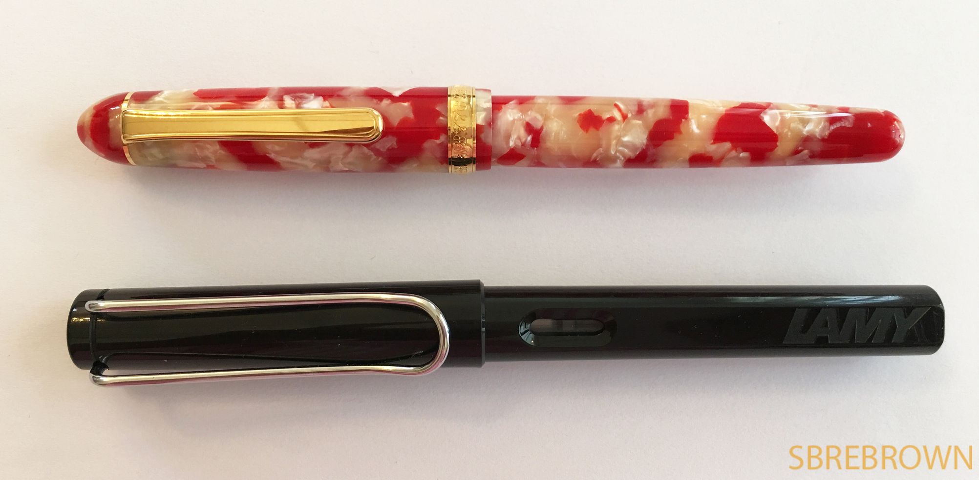 Platinum #3776 Celluloid Koi Fountain Pen Review | Hey There!